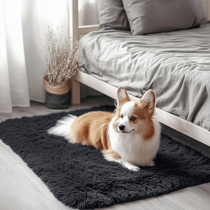 OLANLY 3x3 Machine Washable Small Bedside Rug, Soft Fluffy Shaggy Entryway Throw Rugs for Bedroom, Living Room, Indoor Floor Carpet for Kids Girls and Boys, Nursery Rooms, Home Decor Aesthetic, Black