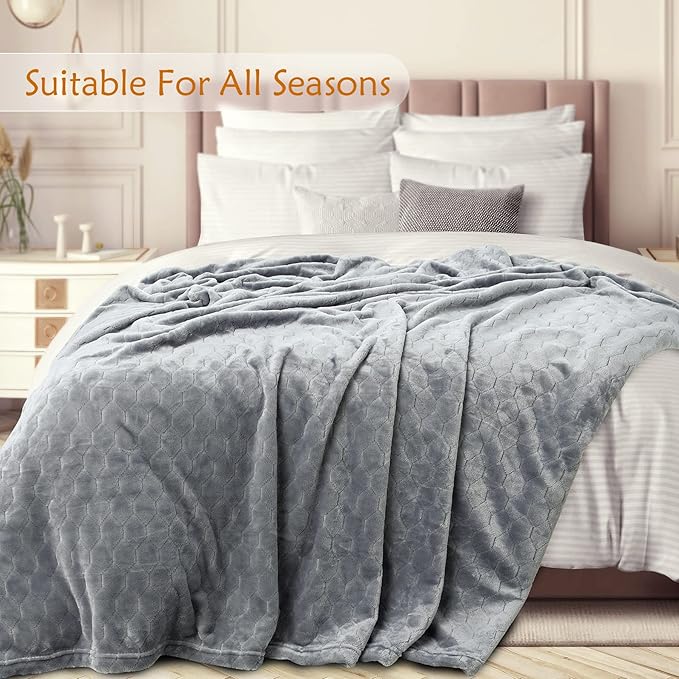TOONOW Fleece Blanket Twin Size -320GSM Lightweight Fuzzy Soft Textured Flannel Blankets for Couch, Sofa, Bed, 60x80 inchs,Light Grey
