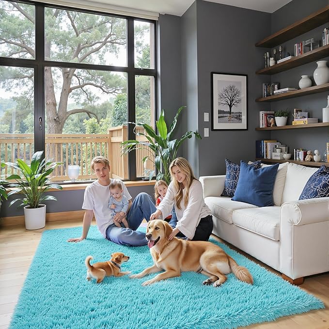 Rugs for Bedroom 4x6, Alfombras para Salas Shag Large Plush Soft Area Rug, Shaggy Carpets for Livingroom, Kids Boys Girls Home Decor Aesthetic(Teal Blue, 4 x 6)