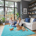 Rugs for Bedroom 4x6, Alfombras para Salas Shag Large Plush Soft Area Rug, Shaggy Carpets for Livingroom, Kids Boys Girls Home Decor Aesthetic(Teal Blue, 4 x 6)