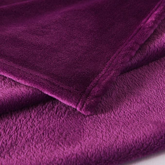 TASTHROW Large Flannel Fleece Throw Blanket, 60×80 Inch - Cozy Lightweight Thick Blanket - All Seasons Suitable for Women, Men and Kids (Purple)