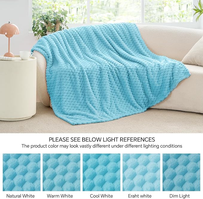 BEDELITE Fleece Blanket Twin Size for Bed Couch, 3D Jacquard Decorative Light Blue Throw Blanket, Soft and Cozy Warm Plush Fuzzy Blanket All Seasons Suitable, 60x80Inches