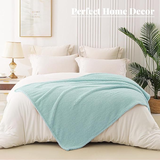Whale Flotilla Extra Large Fuzzy Fleece Throw Blanket for Couch, 50x70 Inch Fluffy Warm Soft Jacquard Blankets for All Season, Lightweight and Cozy, Light Blue