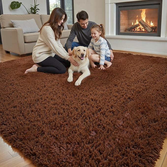 Rugs for Bedroom 4x6, Alfombras para Salas Shag Large Plush Soft Area Rug, Shaggy Carpets for Livingroom, Kids Boys Girls Home Decor Aesthetic(Coffee, 4 x 6)