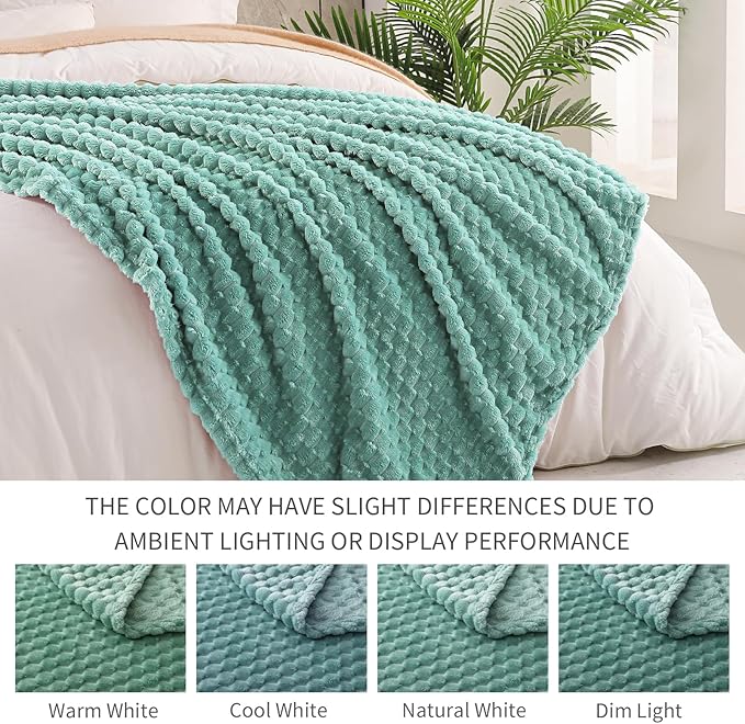 Exclusivo Mezcla Fleece Queen Blanket for Bed, Extra Large Fuzzy Celadon Bed Blankets, Soft Cozy Plush Sofa Throws for All Seasons, 90x90 Inches