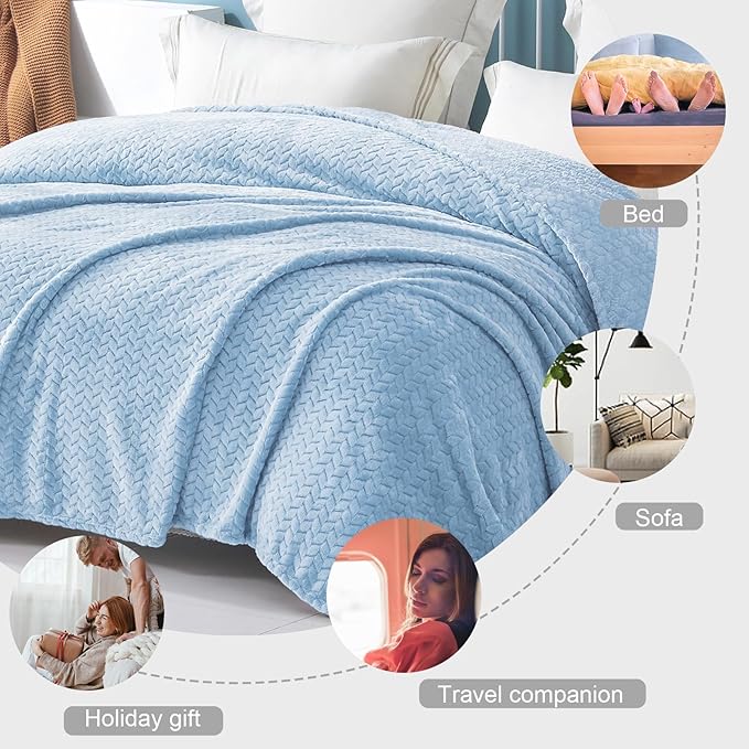 Exclusivo Mezcla Fleece Queen Size Blanket for Bed, 90x90 Inches Soft Cozy Jacquard Flannel Blankets, Lightweight Fuzzy Plush Warm for Women, Light Blue