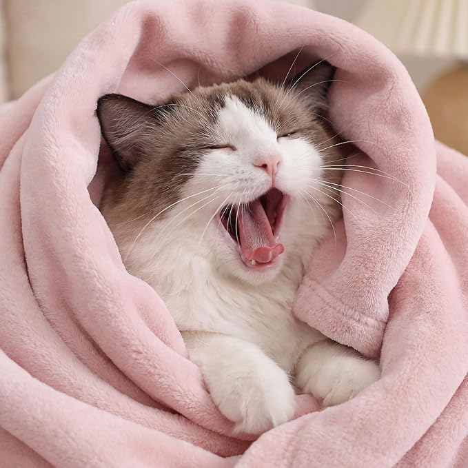 Bedsure GentleSoft Pink Throw Blanket for Couch - 300GSM Soft Cozy Fleece Blankets for Home Decor Gifts, 50x60 Inches