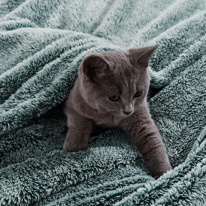 Exclusivo Mezcla Plush Fuzzy Fleece Throw Blanket Extra Large, Super Soft, Fluffy and Warm Blankets for Couch, Bed, All Season (Mixed Green, 50x70 inches)
