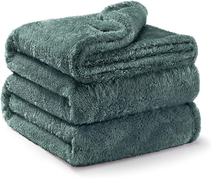 Exclusivo Mezcla Plush Fuzzy Fleece Bed Blanket King Size, Super Soft, Fluffy and Warm Blankets for Couch, Bed, All Season (Celadon, 90x104 inches)