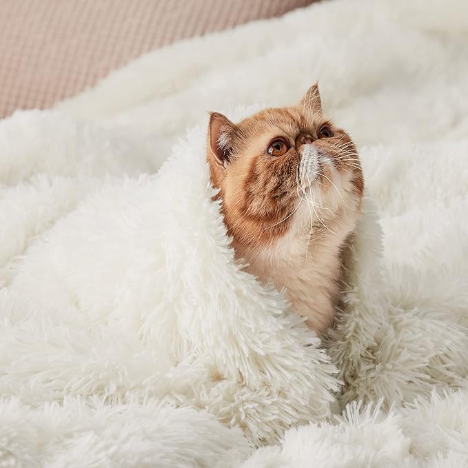 Bedsure GentleSoft Fluffy Cream Throw Blanket Decorative Blankets for Bed Couch Sofa, Cream Decor Sherpa Fleece Soft Cozy Fuzzy Plush Thick Warm Faux Fur Decorations, Ivory Girl Gifts, 50x60