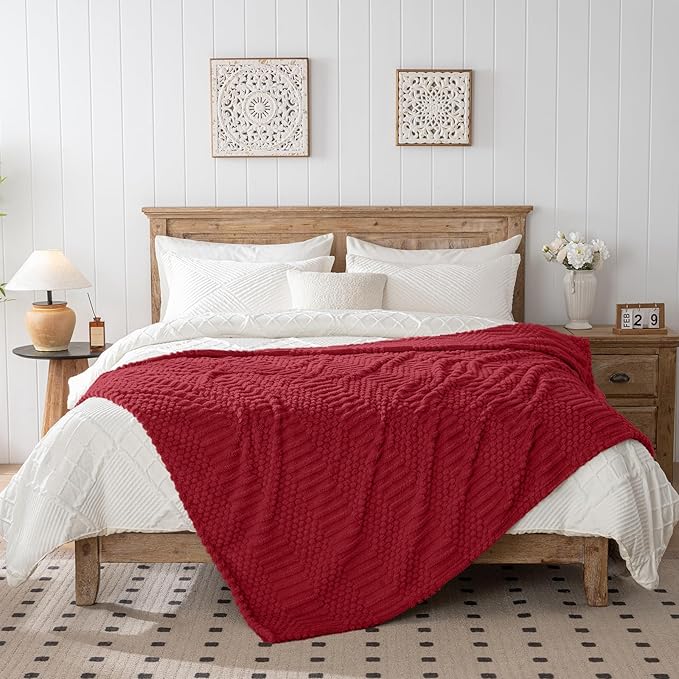 50x70 Inch Red Throw Blanket - Soft & Fluffy Fleece, Cute & Aesthetic, Perfect for Sofa, Couch, Chair, Bed, Living Room & Bedroom, All-Season Use, Plush & Cozy Decorative Blanket