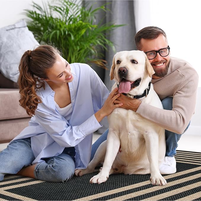 Lahome Enfys Modern Geometric Easy Jute Outdoor Rug, 3x5 Black Indoor Outdoor Carpet for Living Room Entryway, Farmhouse Non Slip Non Shedding Washable Area Rug for Patio Courtyard Bedroom
