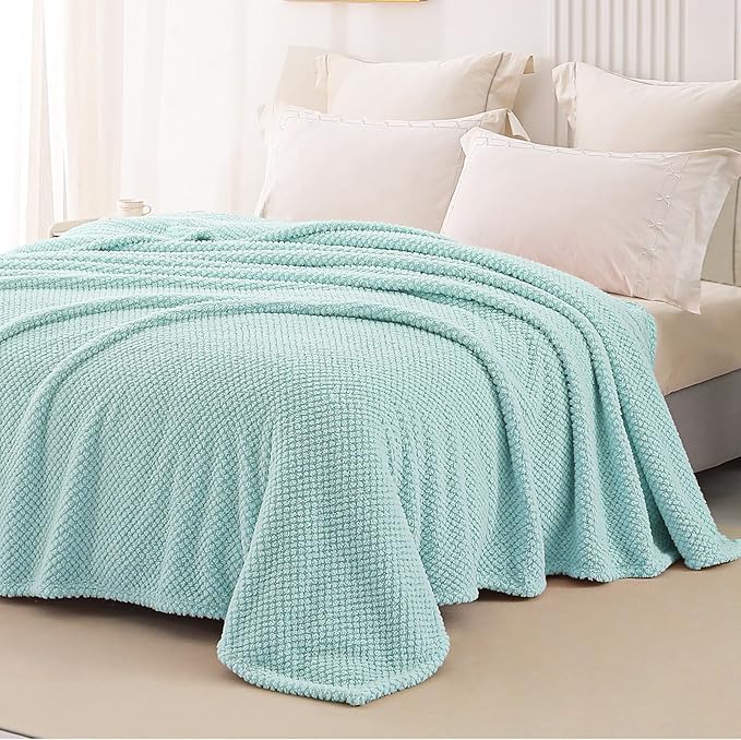 Whale Flotilla Twin Size Fuzzy Fleece Blanket for Bed, 60x80 Inch Fluffy Warm Soft Jacquard Blankets for All Season, Lightweight and Cozy, Light Blue