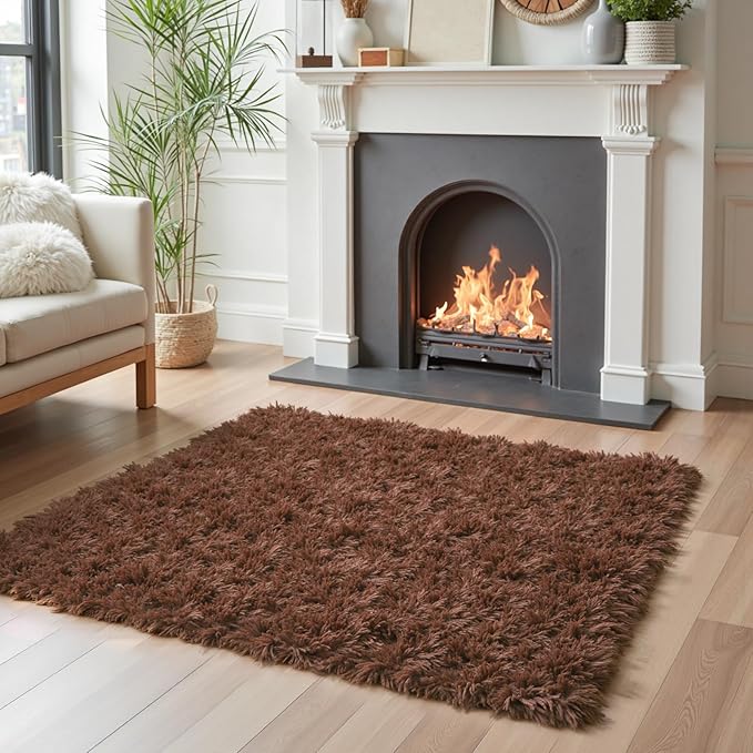 Small Rugs for Bedroom 2x3, Soft Area Rug for Living Room Dorm, Non Slip Shag Rugs for Girls Boys Bedroom, Soft Kids Carpet, Modern Home Decor Aesthetic(Coffee, 2 x 3)