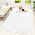 OLANLY Dog Door Mat for Muddy Paws 70x46, Absorbs Moisture and Dirt, Absorbent Non-Slip Washable Doormat, Quick Dry Chenille Mud Mat for Dogs, Entry Indoor Entryway Carpet for Inside Floor, White