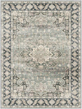 7X9 Area Rugs - 7X9 Washable Area Rug Indoor Vintage Rug Print Rug Low-Pile Floor Carpet for Living Room, Bedroom (Olive Charcoal/Yellow/Tan)