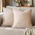 GIGIZAZA 16x16 Beige Pillow Covers: Pack of 2 Champagne Vintage Throw Pillows Super Soft Velvet Covers - Decorative Elegant Square Small Solid Cushion Covers Used for Couch,Living Room,Bedroom