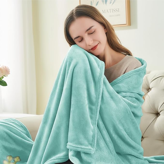 BEDELITE Fleece Blanket Twin Size Haze Blue Throw Blankets for Couch & Bed, Luxury Plush Cozy Fuzzy Blanket 60x80 inches, Super Soft Warm Lightweight Throw Blanket for Travel Camping