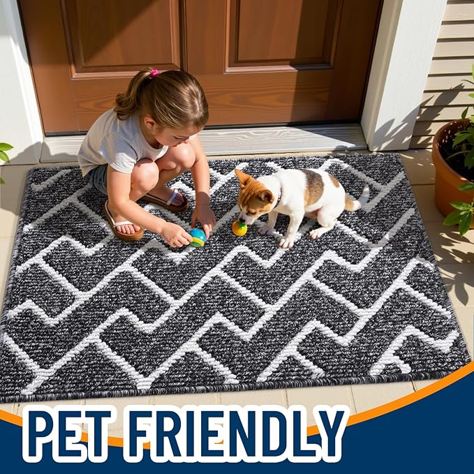 OLANLY Front Door Mat, Non-Slip Rubber Backing, Dirt Resistant and Absorbent, Washable, Easy to Clean Low-Profile Indoor Doormat for Back Door, Entryway, Inside Entrance, 48x32, Black