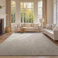FinRèc 6x9 Washable Area Rugs for Bedroom Living Room, Low Pile Thin Rug Solid Color, Non-Slip Carpet Indoor for Home Decor (Light Tan)