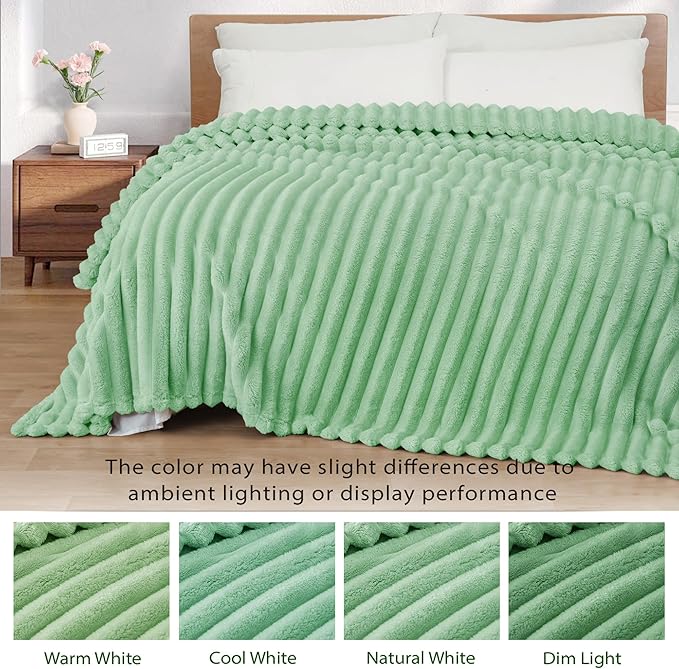 Exclusivo Mezcla Twin Size Flannel Fleece Blanket, Super Soft Striped Jacquard Bed Blanket, Lightweight Fuzzy Cozy for All Seasons, 60x80 Inches, Sage Green