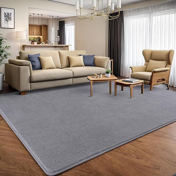 AROGAN Modern Shag Area Rug for Living Room, 5x7 Feet Washable Rugs for Bedroom, Indoor Floor Carpet, Plush Memory Foam Bedside Rug for Kids Girls Teens Low Pile Decor, Grey