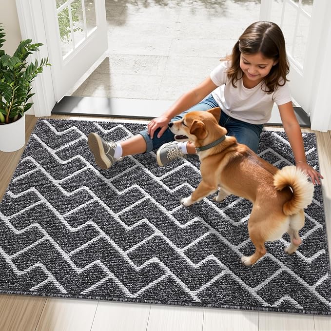 OLANLY Front Door Mat, Non-Slip Rubber Backing, Dirt Resistant and Absorbent, Washable, Easy to Clean Low-Profile Indoor Doormat for Back Door, Entryway, Inside Entrance, 71x47, Black