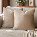 GIGIZAZA Decorative Couch Throw Pillow Covers,Set of 2 Taupe Square Pillow Cushion Covers 22x22 Velvet Pillowcase