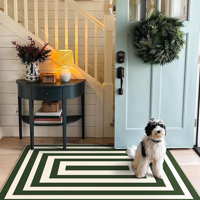 3x5 Modern Entry Rug - Small Washable Indoor Outdoor Mats for Front Door Non-Slip Porch Rug Green White Geometric Striped Throw Rugs for Living Room Bedroom Entryway Kitchen Office Porch Decor