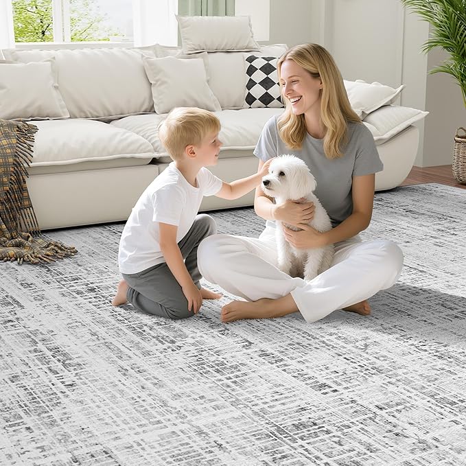 6x9 Area Rugs Washable Rug: Anti-Skid Abstract Modern Living Room Rug Soft Thin Carpets Indoor Floor Non-Shedding Carpet for Bedroom Dining Farmhouse Nursery Home Office (White Gray, 6'x9')