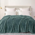 Exclusivo Mezcla Plush Fuzzy Fleece Bed Blanket Twin Size, Super Soft, Fluffy and Warm Blankets for Couch, Bed, All Season (Celadon, 90x66 inches)