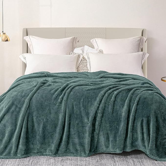 Exclusivo Mezcla Plush Fuzzy Fleece Bed Blanket Twin Size, Super Soft, Fluffy and Warm Blankets for Couch, Bed, All Season (Celadon, 90x66 inches)