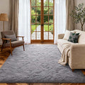 5x7 Ft Shag Area Rug for Bedroom, Ultra Soft Fluffy Furry Rugs for Living Room Indoor Floor, Aesthetic Carpet for Kids Home Decor (Light Grey)