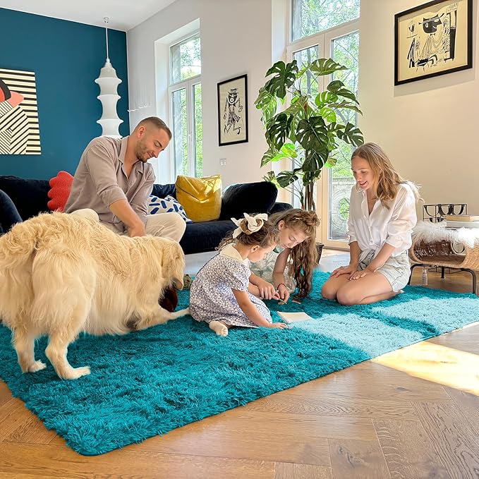 OLANLY 5x8 Machine Washable Large Area Rugs for Living Room, Bedroom, Soft Fluffy Shaggy Bedside Rug, Indoor Floor Carpet for Kids Girls and Boys, Dorms, Nursery, Home Decor Aesthetic, Teal