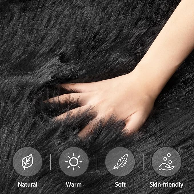 Ciicool Faux Fur Rug Black Fluffy Area Rugs for Bedroom, Thick Fuzzy Shag Rug Furry Bedside Nursery Rug for Living Room Plush Indoor Floor Carpet for Kids Room Teen Dorm, 3x5 ft