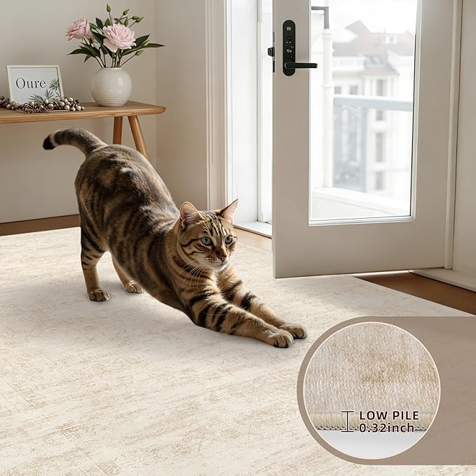 5x7 Area Rugs for Living Room: Vintage Boho Neutral Washable Rug Indoor Soft Large Area Rug Carpet for Bedroom Nursery Farmhouse Dining Room Office Floor Non-Slip Low Pile Under Table Rug Retro Beige