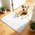 2x3 Fluffy Area Rugs for Bedroom Living Room,Small Soft Shag Fuzzy Rug Non-Shedding Indoor Plush Carpet for Kids Bedroom Nursery Dorm Home Decor,White