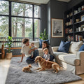 Ultra Soft Rug for Living Room, 3x5 Feet Grey Shag Area Rugs for Living Room, Modern Shaggy Carpets for Teens Dorm Nursery Home, Non Slip Indoor Rugs Floor Carpet(3 x 5, Light Grey)