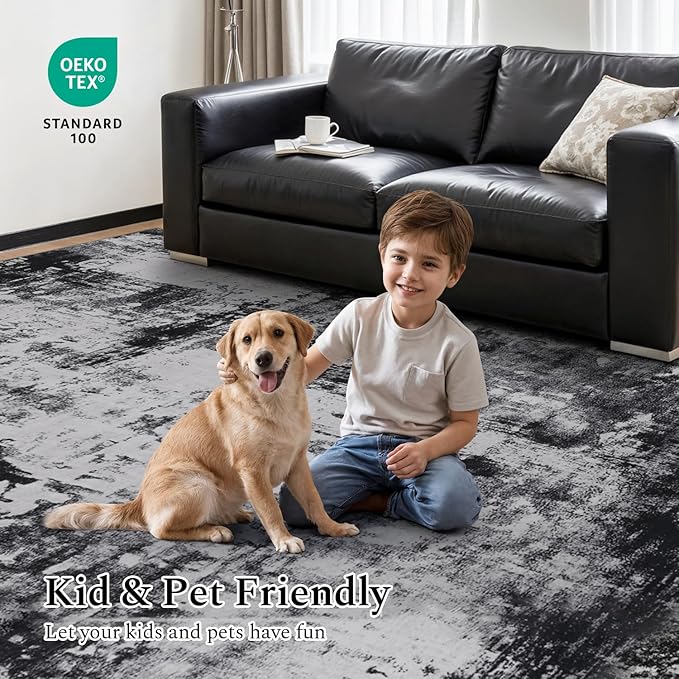 Rugflix 4x6 Area Rugs for Living Room, Washable Large Rug Stain-Resistant Low Pile, Modern Dark Carpet for Dining Room Home Office Kid Room Nursery Bedroom, Black Grey