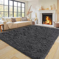 Pionblank Super Fluffy Area Rug for Living Room 5x7 Feet, Modern Indoor Shaggy Carpet, Soft Plush Non Slip Rugs for Bedroom Kids Room Teens Dorm Cloakroom Home Decor, Charcoal Grey