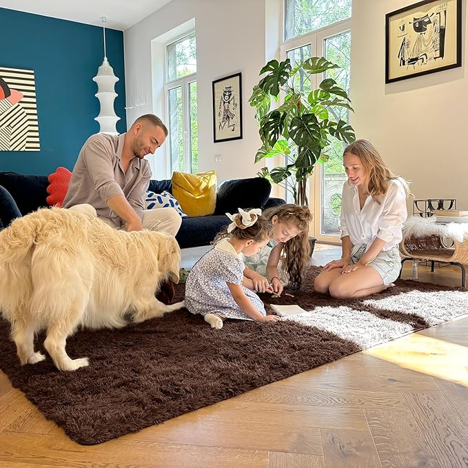 OLANLY 6x6 Area Rugs for Living Room Bedroom, Machine Washable Soft Fluffy Shaggy Bedside Rug, Indoor Floor Carpet for Kids Girls and Boys, Dorms, Nursery Rooms, Home Decor Aesthetic, Coffee