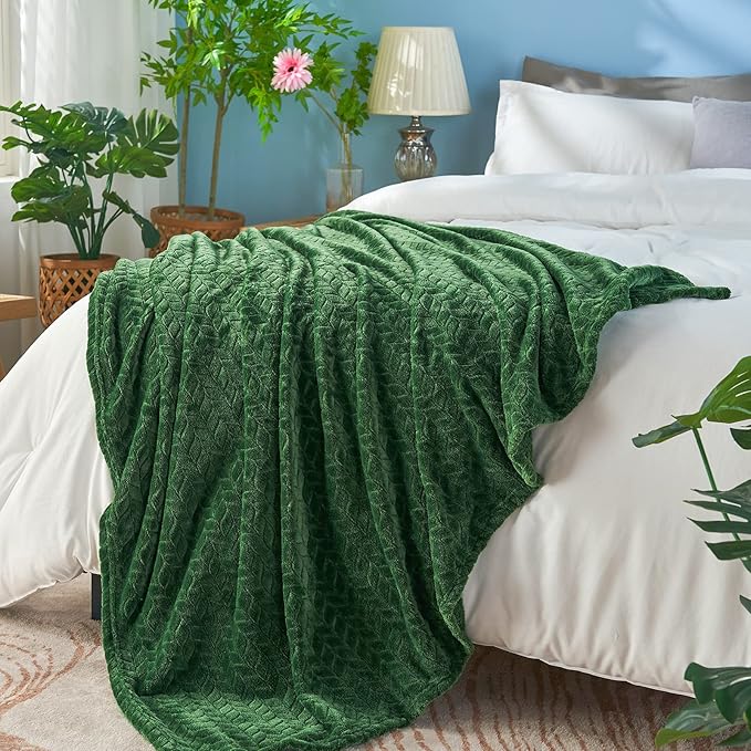 inhand Fleece Queen Blanket for Bed, Super Soft Flannel Cozy Queen Bed Blanket for Adults, Washable Lightweight Fuzzy Bed Blanket for Office, Warm Plush Blankets for All Season (90"×90", Green)