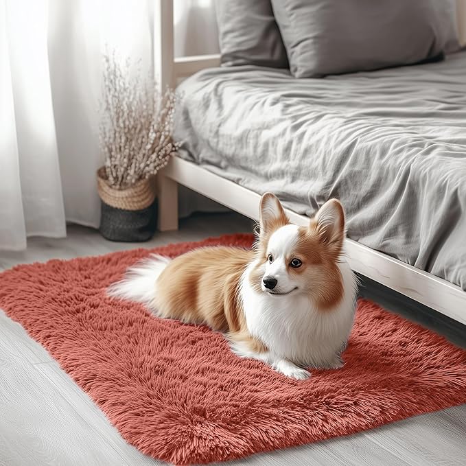 OLANLY 2x3 Machine Washable Small Bedside Rug, Soft Fluffy Shaggy Entryway Throw Rugs for Bedroom, Living Room, Indoor Floor Carpet for Kids Girls and Boys, Home Decor Aesthetic, Rust Red
