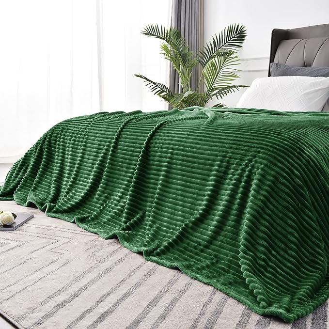 BEDELITE Fleece Blanket Queen Size – 3D Ribbed Jacquard Soft and Warm Decorative Fuzzy Blankets – Cozy, Fluffy, Plush Lightweight Throw Blankets for Couch, Bed, Sofa(Green, 90x90 inches)