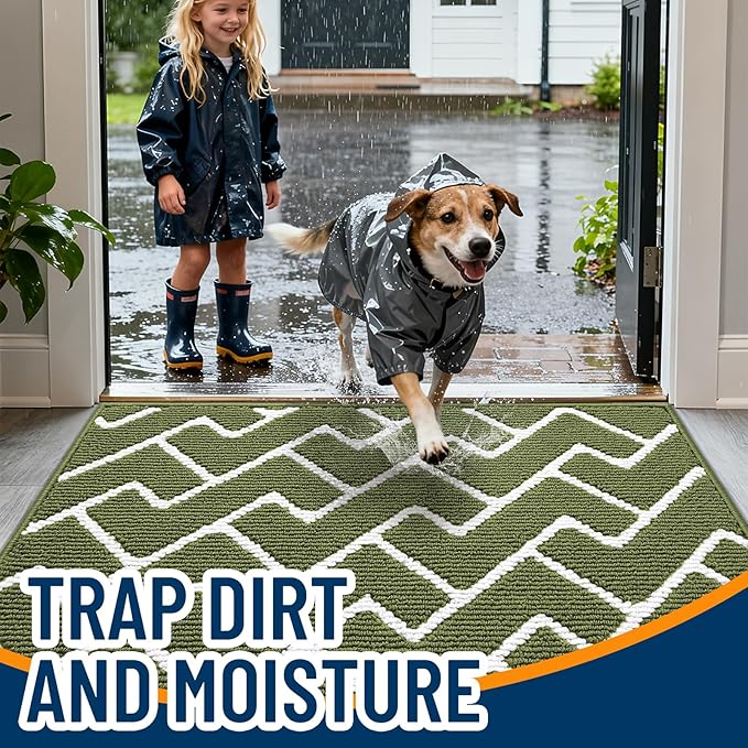 OLANLY Front Door Mat, Non-Slip Rubber Backing, Dirt Resistant and Absorbent, Washable, Easy to Clean Low-Profile Indoor Doormat for Back Door, Entryway, Inside Entrance, 48x32, Green