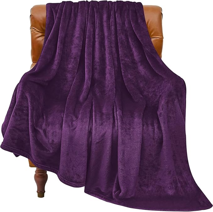 BEDELITE Fleece Blanket Twin Size Purple Throw Blankets for Couch & Bed, Luxury Plush Cozy Fuzzy Blanket 60x80 inches, Super Soft Warm Lightweight Throw Blanket for Travel Camping