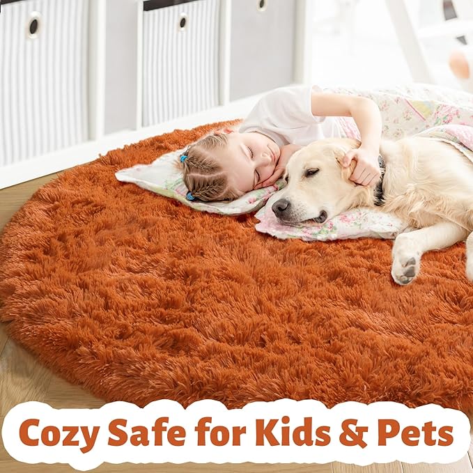 Amdrebio Burnt Orange Round Area Rug 5Ft for Bedroom Living Room, Fluffy Fuzzy Shaggy Furry Circle Rugs for Kids Room Decor Aesthetic, Cute Plush Shag Dark Orange Carpet for Nursery Dorm Classroom