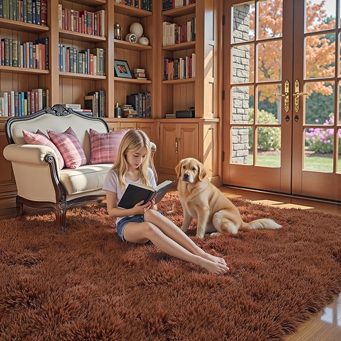 Area Rugs 9x12 Living Room, Shaggy Carpet Soft Plush Furry Bedside Rug Large Area Rugs for Bedroom Kids Girls Boys Home Decor Anti Slip(9 x 12, Coffee)