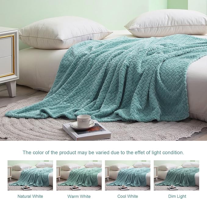 Exclusivo Mezcla Fleece Queen Size Blanket for Bed, 90x90 Inches Soft Cozy Jacquard Flannel Blankets, Lightweight Fuzzy Plush Warm for Women, Celadon
