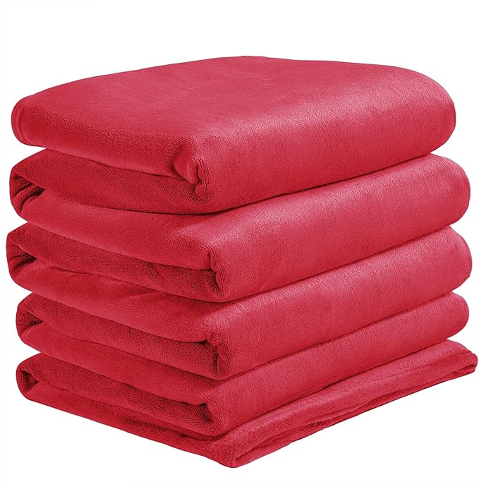 BEDELITE Big Fleece Blanket 120" x 120" (10' x 10'), Super Soft Fluffy Fuzzy Oversized King for Bed, Couch, Sofa, Camping, Extra Large Blanket Fits Your Whole Family, Red